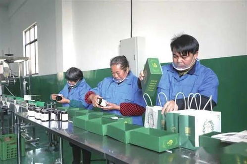 重慶 人社扶貧 托起穩(wěn)穩(wěn)的幸福