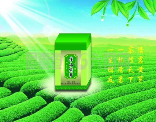 茶葉盒圖片