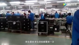 云南職校生被 賣身 當苦工,不實習不給畢業(yè) 學校月入20萬元
