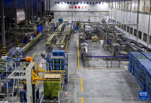 從家庭作坊到國際舞臺 律師視角下的福建晉江民營企業(yè)蛻變之路